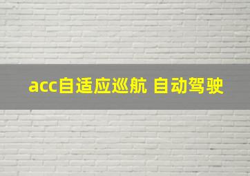 acc自适应巡航 自动驾驶